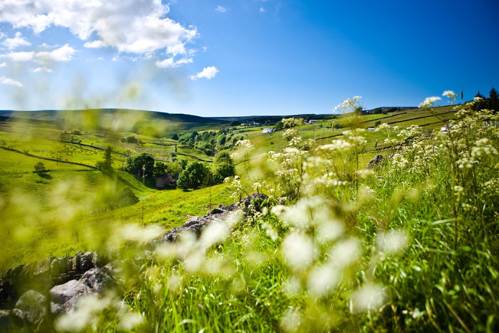 iStock-176848030 Durham Dales landscape 16 scaled