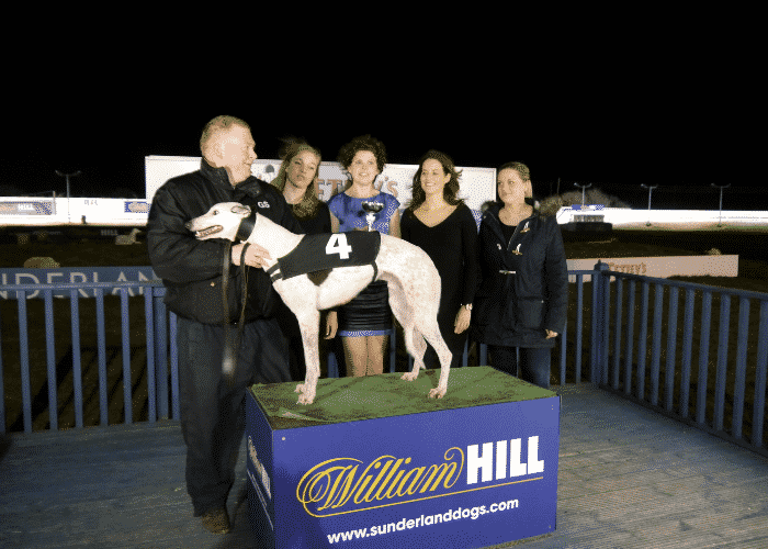 Sunderland Dogs Sunderland Dogs