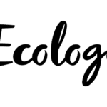 Website Landscape 22