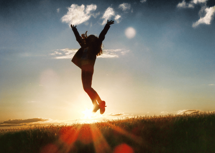 Website Landscape 27