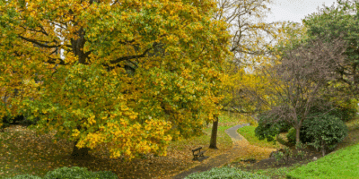 Images landscape for web 2020 11 11T090124.501